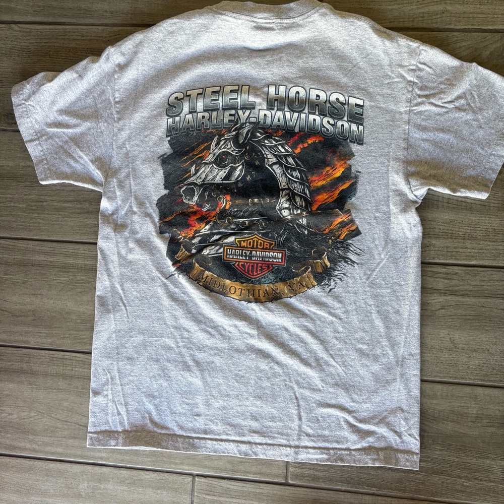 Men’s Harley-Davidson Gray Graphic T-Shirt